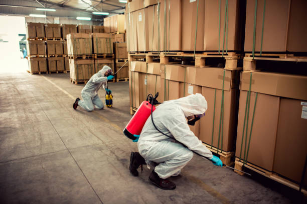 Best Affordable Pest Control Services  in Delavan, WI