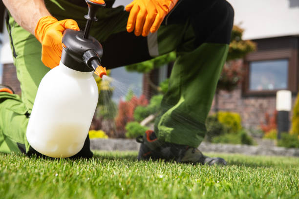 Best Pest Control Near Me  in Delavan, WI