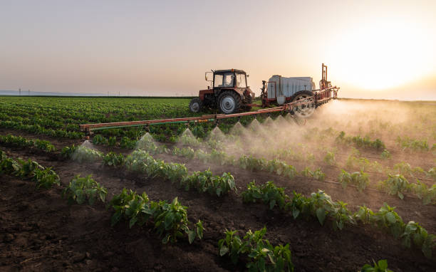 Best Pest Prevention Services  in Delavan, WI