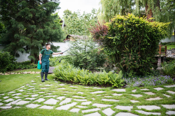 Best Pest Prevention Services  in Delavan, WI