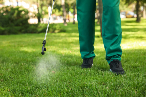 Best Bird Control  in Delavan, WI