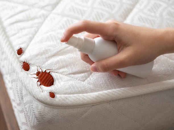 Best Commercial Pest Control Services  in Delavan, WI
