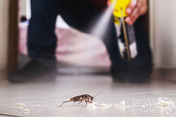 Best Pest Removal Services  in Delavan, WI