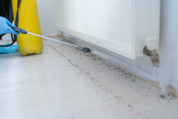 Best Exterminator Services  in Delavan, WI