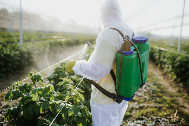 Best Ant Control Services  in Delavan, WI
